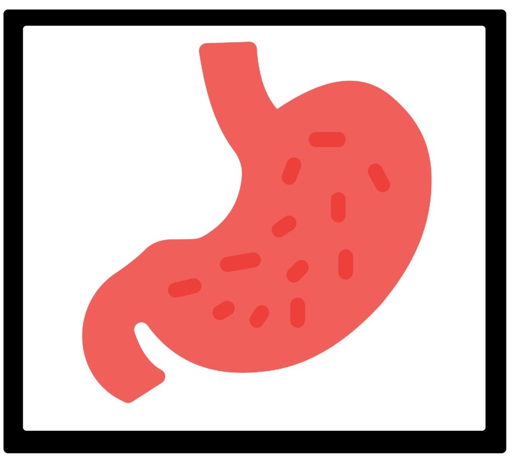 Stomach infection